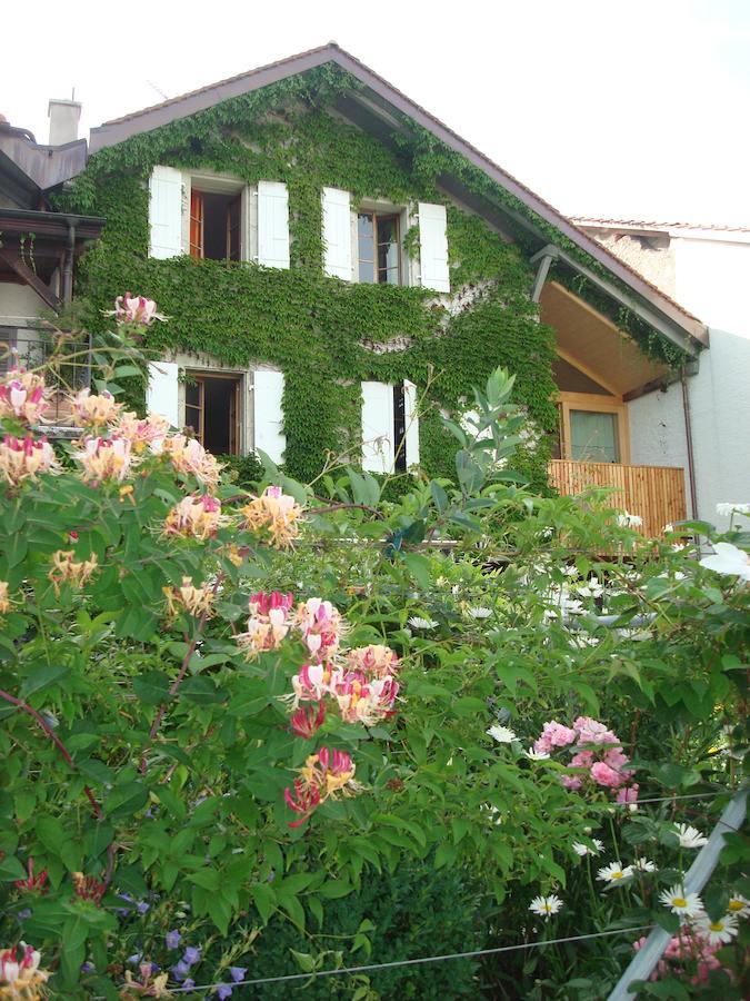 Le Grand Saconnex Wonderlandscape Guest House מראה חיצוני תמונה