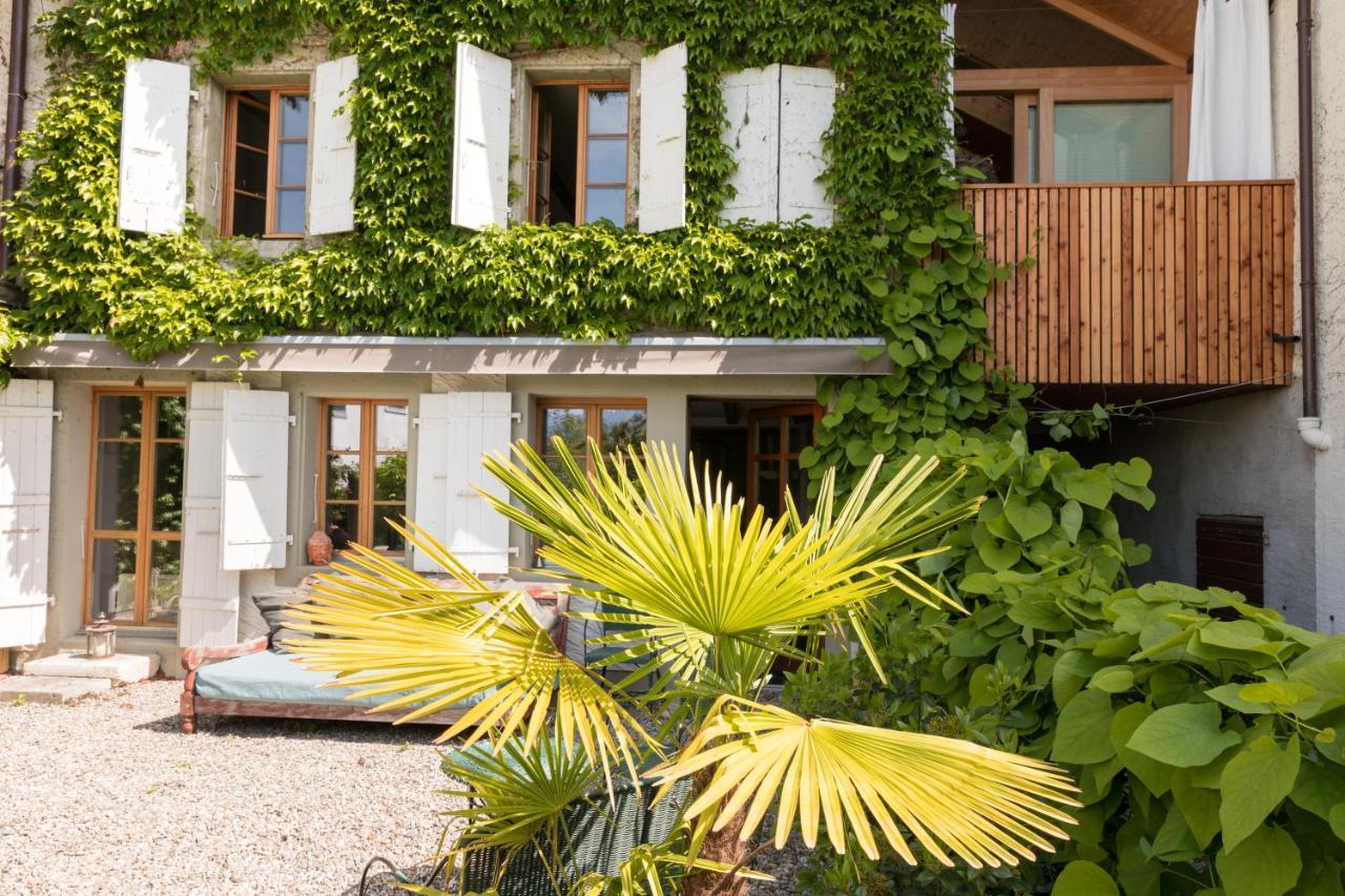 Le Grand Saconnex Wonderlandscape Guest House מראה חיצוני תמונה